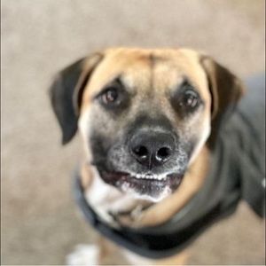 Meet your Posher, Moe